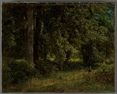 Árboles de tulipán, 1859 de William Trost Richards